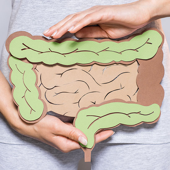 Unser Spezialgebiet: Die Darmgesundheit